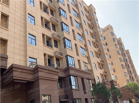 TD型天然真石漆 TD型天然真石漆